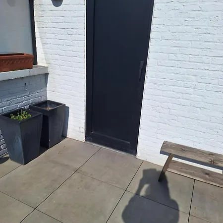 Zonnig Vernieuwd Penthouse Dicht Bij Het Met 2 Grote Priveterassen Met Zeezicht Apartment